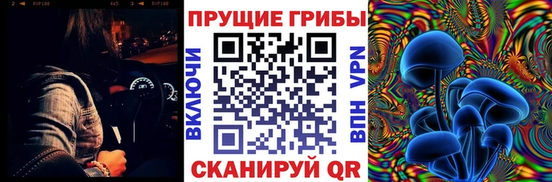 дарк нет состав  Черногорск  Галлюциногенные грибы мицелий 